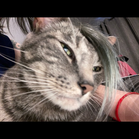 Meet your Posher, Val - Picture 1 of 1